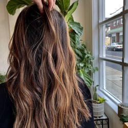 The Noble Bear Salon