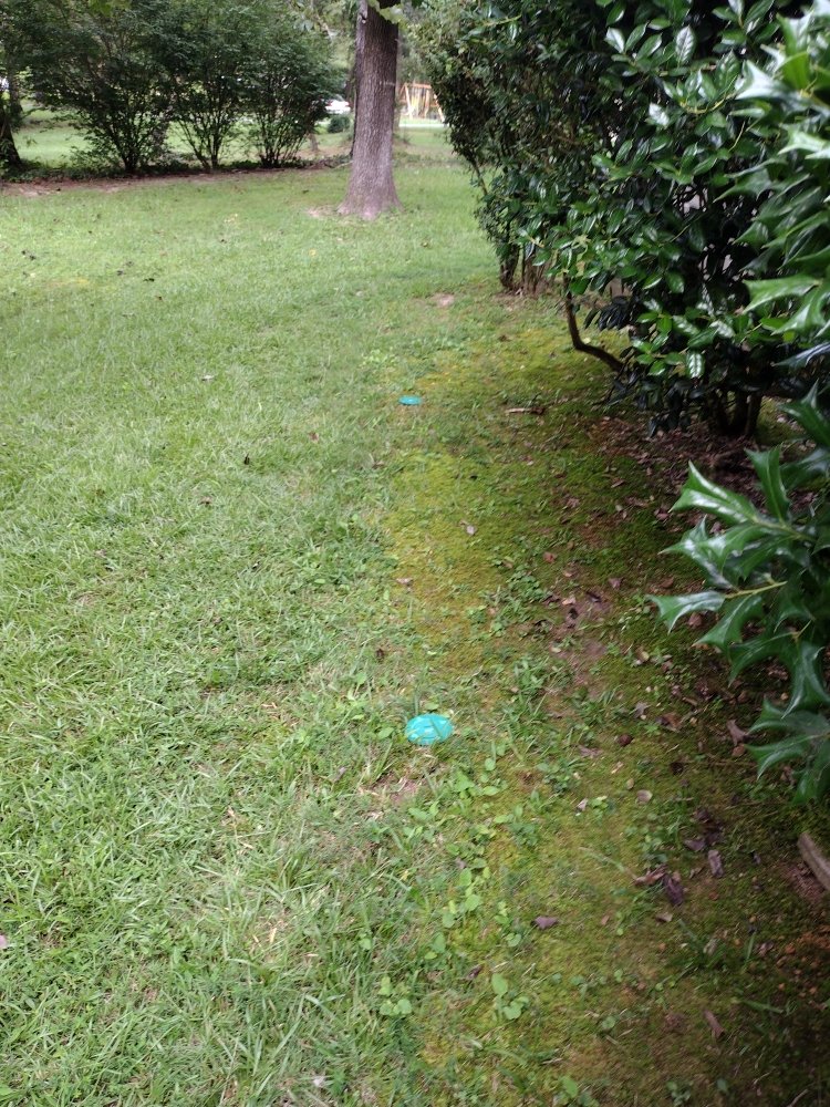 Slide of All above pest solutions