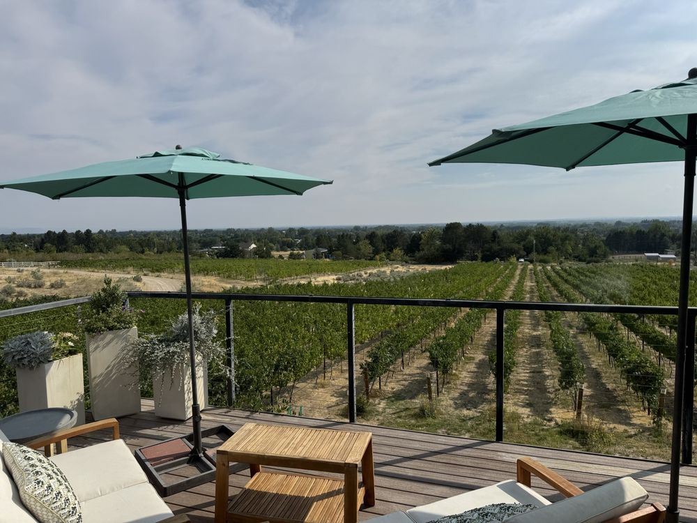 3100 Cellars - vineyard in Eagle, ID