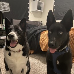 After their grooming After their grooming