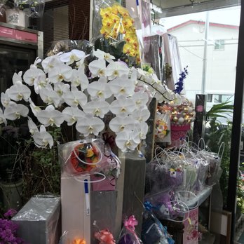 横井花店 - Updated May 2026 - 14 Photos - 太田 下町2221-8, 高松市