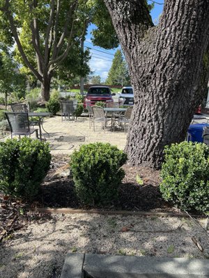 Society Bakery and Cafe by null