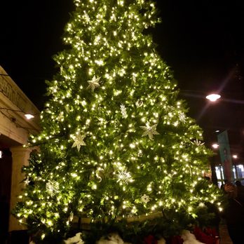 Pasadena Playhouse - Christmas tree setup in the courtyard around the holidays! - Performing Arts Near Me - Pasadena, California Pasadena Playhouse - Christmas tree setup in the courtyard around the holidays! - Performing Arts Near Me - Pasadena, California