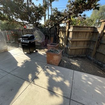 Love Branch Tree Pros - Tree Services Near Me