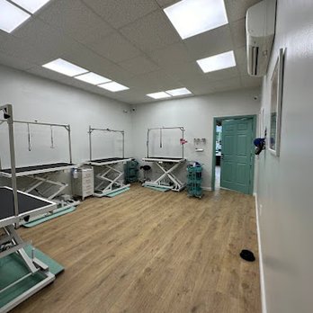Pet City Grooming - Pet Groomers Near Me - Brooklyn, New York Pet City Grooming - Pet Groomers Near Me - Brooklyn, New York