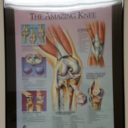 Orthopaedic Clinic of Central Florida