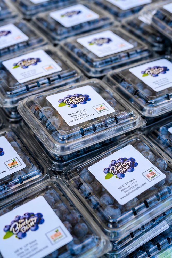 The Blueberry Barn Logo