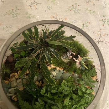 Roosevelt's Terrariums - Nurseries & Gardening Near Me - Portland, Oregon Roosevelt's Terrariums - Nurseries & Gardening Near Me - Portland, Oregon