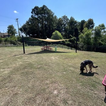 Conecuh Sausage - Dog Park - Meat Shops Near Me - Evergreen, Alabama