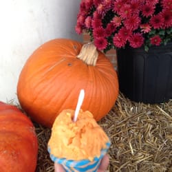 Pinnacle Station Local Market - Pumkin gelato