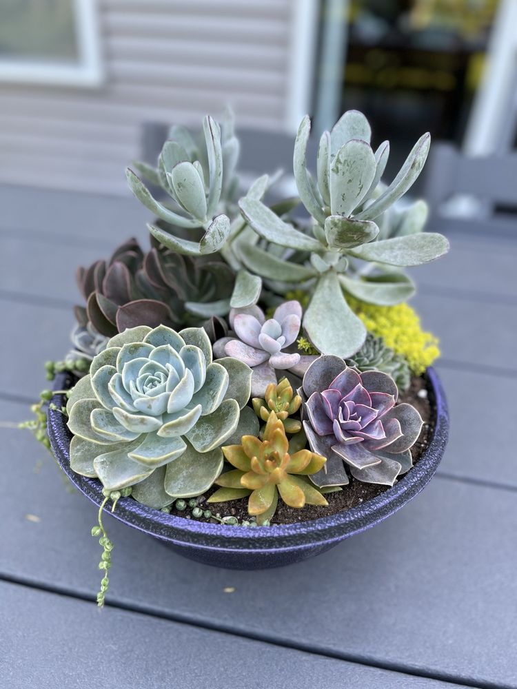 COSTA PRODUCE FARM & GREENHOUSE Updated September 2024 19 Photos