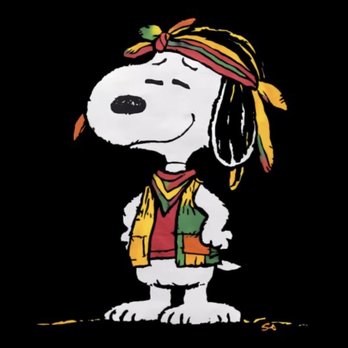 Reggae Rise Up - Festivals Near Me - St Petersburg, Florida Reggae Rise Up - Festivals Near Me - St Petersburg, Florida