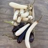 North Berkeley Farmers' Market gift card