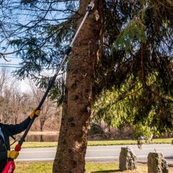 All Tree Works