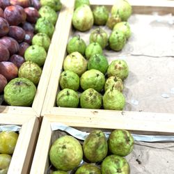 Asian Family Market - Sweet: (Thai Guava)