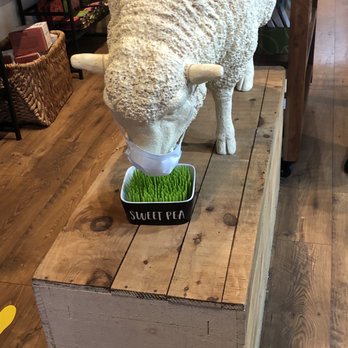 Curds & Co - Cheese Shops Near Me - Brookline, Massachusetts
