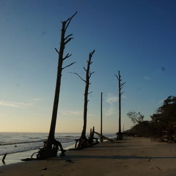 Driftwood Beach - Sunrise - Beaches Near Me - Jekyll Island, Georgia