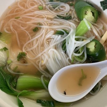 Pho Nhat - Chicken Pho with a fly. Yuck!  Won't be coming back - Vietnamese Near Me - Mesa, Arizona