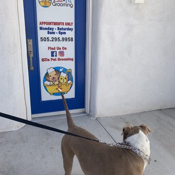 Zia Pet Grooming - Zia pet Grooming - Pet Groomers Near Me - Albuquerque, New Mexico Zia Pet Grooming - Zia pet Grooming - Pet Groomers Near Me - Albuquerque, New Mexico