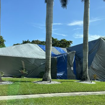 Royal Pest & Termite - Pest Control Near Me - Pembroke Pines, Florida Royal Pest & Termite - Pest Control Near Me - Pembroke Pines, Florida