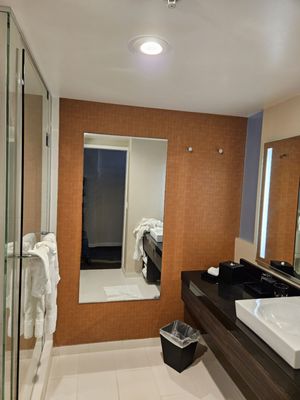 Hard Rock Hotel San Diego by null