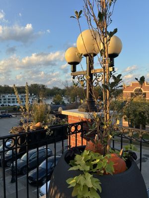 Scarlet Kitchen & Bar by null