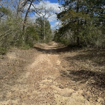 Millican Reserve - Arts & Entertainment Near Me - College Station, Texas Millican Reserve - Arts & Entertainment Near Me - College Station, Texas