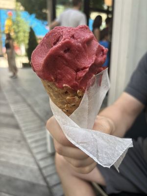 Honeysuckle Gelato Fenton by null