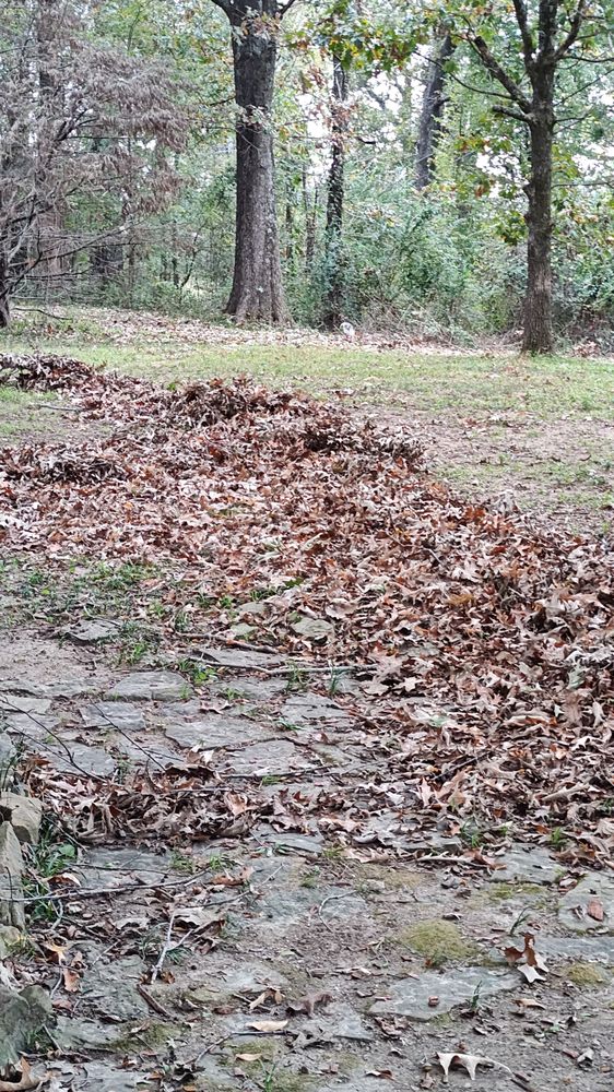 MIA Services - tree service in Memphis, TN