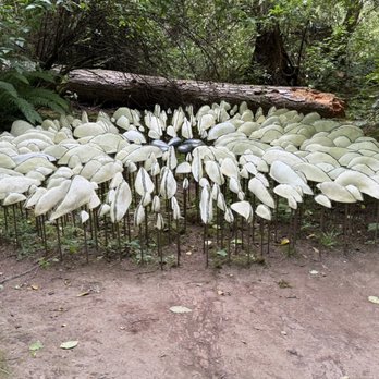 Price Sculpture Forest - Parks Near Me - Coupeville, Washington Price Sculpture Forest - Parks Near Me - Coupeville, Washington
