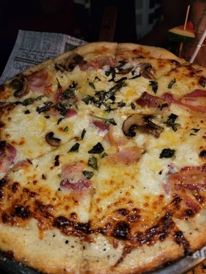 Timber & Blues by null