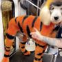 Sebastian’s Pet Grooming