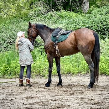 Houghton Riding Instruction - Horseback Riding Near Me Houghton Riding Instruction - Horseback Riding Near Me