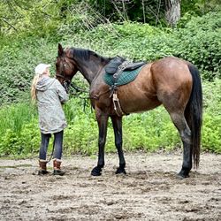 Houghton Riding Instruction