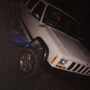 Gnarly Greaser Auto