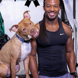 Fit Academy