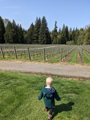 Windy Hills Winery by null