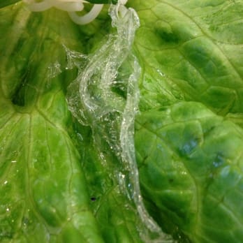 Pho Vina - Nasty plastic in plate. Yuck. - Vietnamese Near Me - Anaheim, California Pho Vina - Nasty plastic in plate. Yuck. - Vietnamese Near Me - Anaheim, California