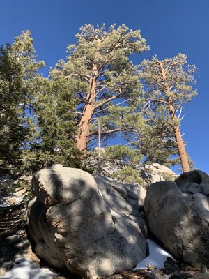 Palm Springs Aerial Tramway by null Palm Springs Aerial Tramway by null