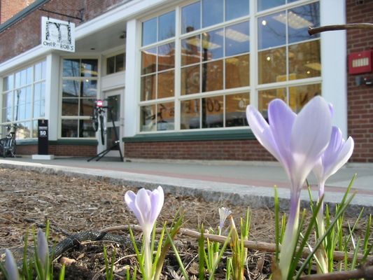 Omer and Bob's by null