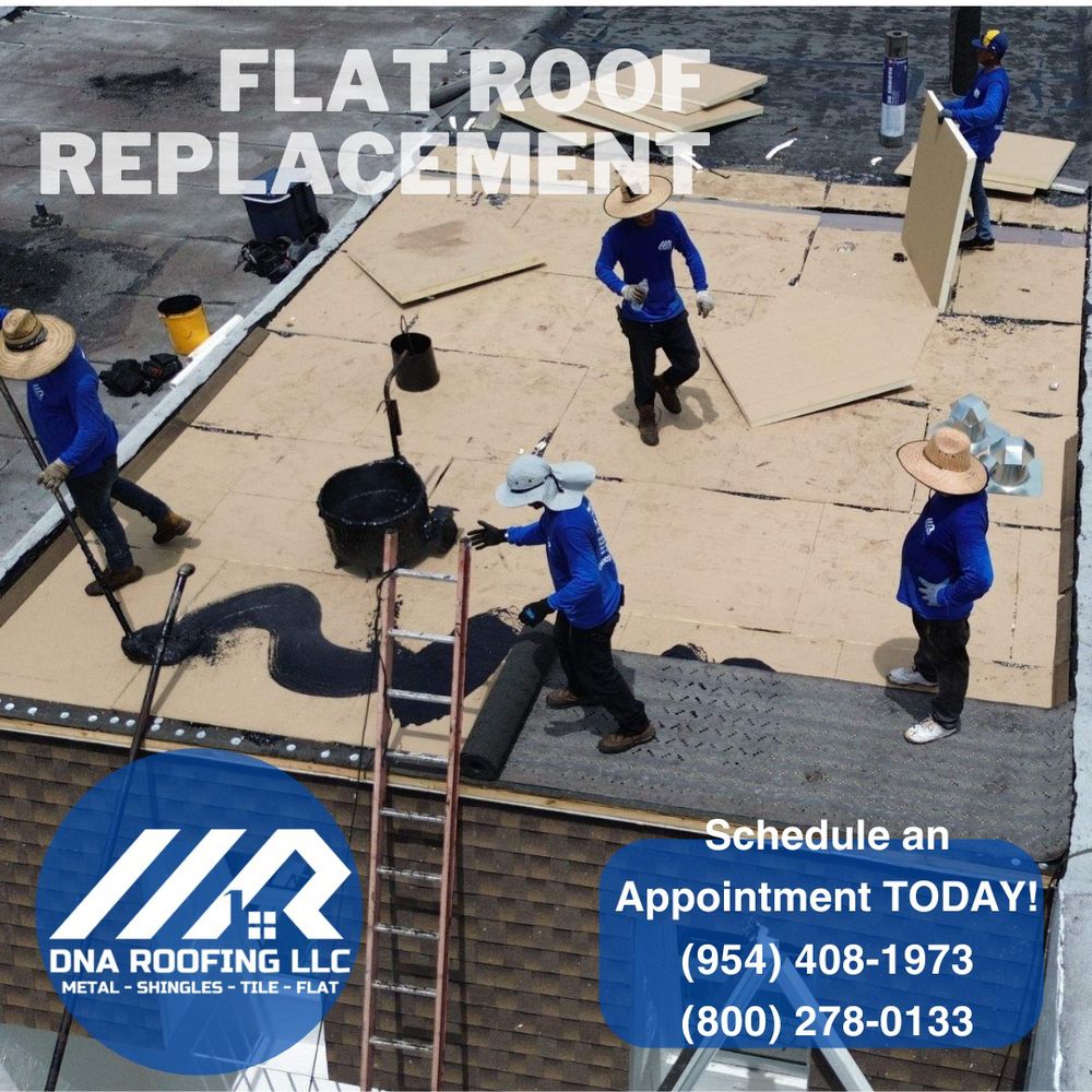 Slide of DNA Roofing