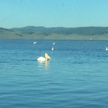 Strawberry Reservoir - Storks - Fishing Near Me - Fruitland, Utah