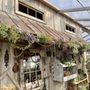 Photo of Farmhouse Gardens Succulent Plants