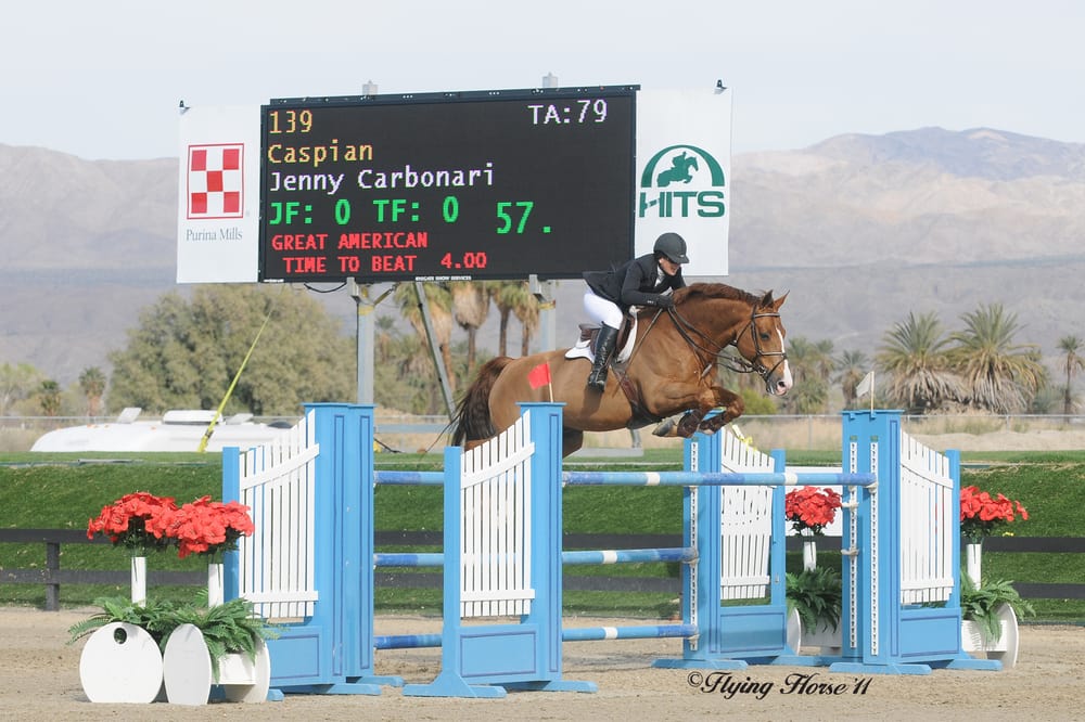 Northern Lights Show Jumping Logo