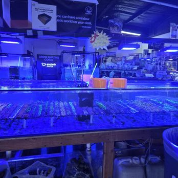 Ck Fish World - Local Fish Stores Near Me - West Covina, California