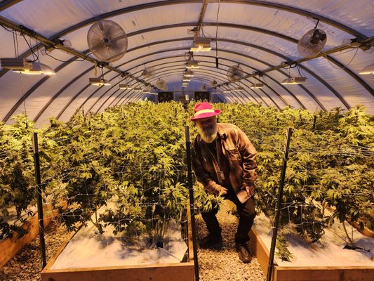 GREEN WASTE MANAGEMENT - Denver, Colorado - Cannabis Collective - Phone