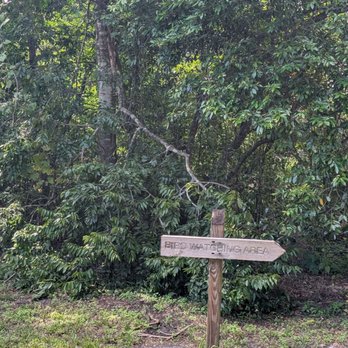 Oakland Nature Preserve - Parks Near Me - Oakland, Florida Oakland Nature Preserve - Parks Near Me - Oakland, Florida