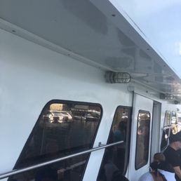 Going Whale Watching