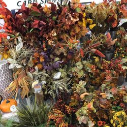 Buford Road Pharmacy - Nice silk flowers- one berry stem is 20$