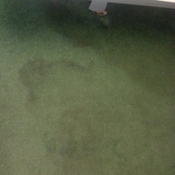 Hawaiian Monarch - stained dirty carpet - Homeowner Association Near Me - Honolulu, Hawaii Hawaiian Monarch - stained dirty carpet - Homeowner Association Near Me - Honolulu, Hawaii